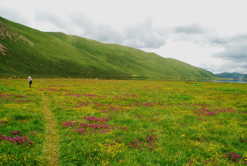 dsc_1166.jpg