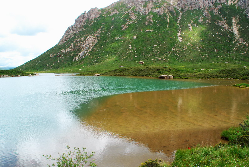 dsc_1181.jpg