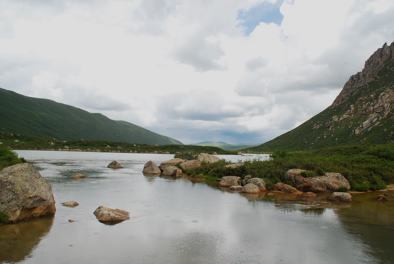 dsc_1193.jpg