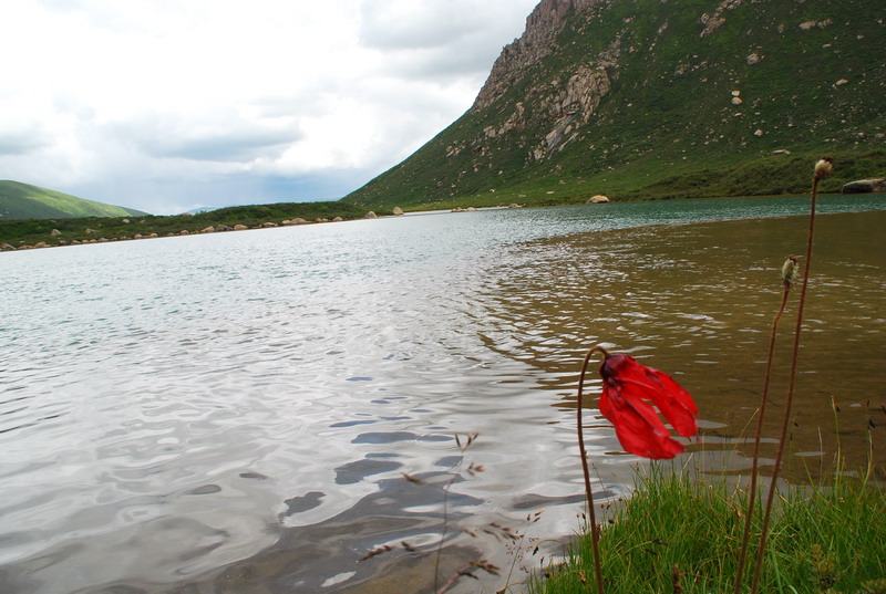 dsc_1195.jpg