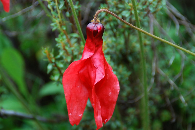 dsc_1090.jpg