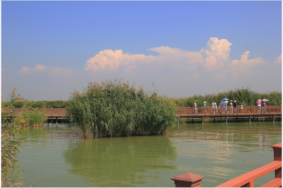 qq图片20140812080310.jpg
