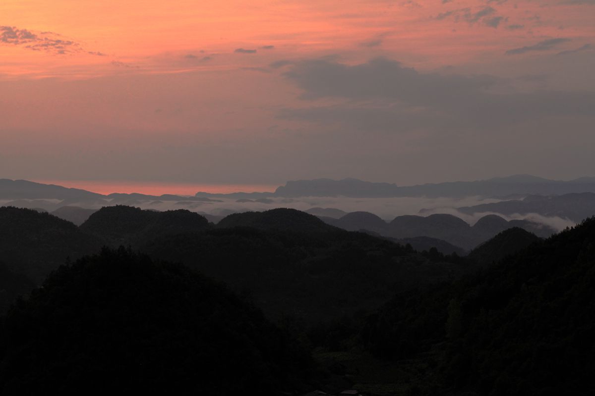 照片 297.jpg
