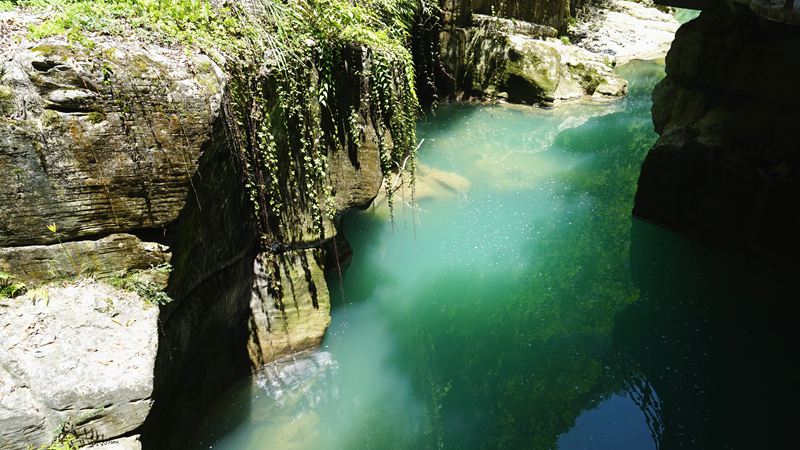dsc03254_.jpg