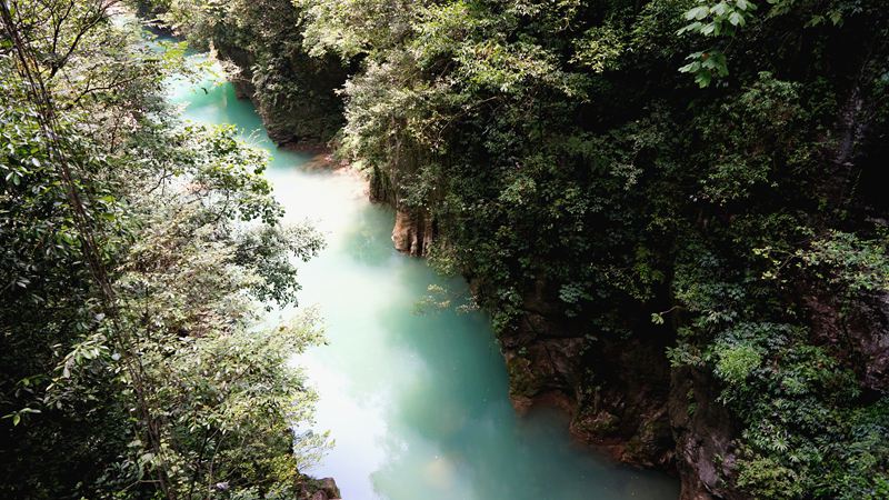 dsc03104_.jpg