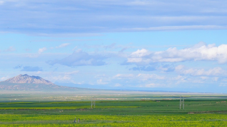 l1030269_.jpg
