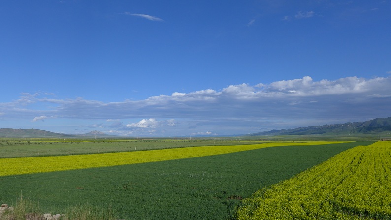 l1030280.jpg