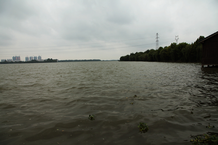img_2753_.jpg