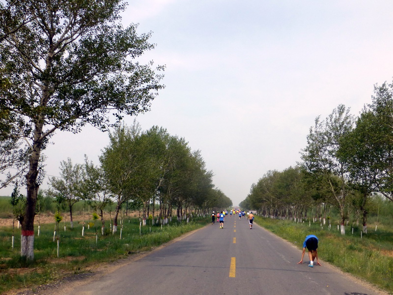 p1230447.jpg