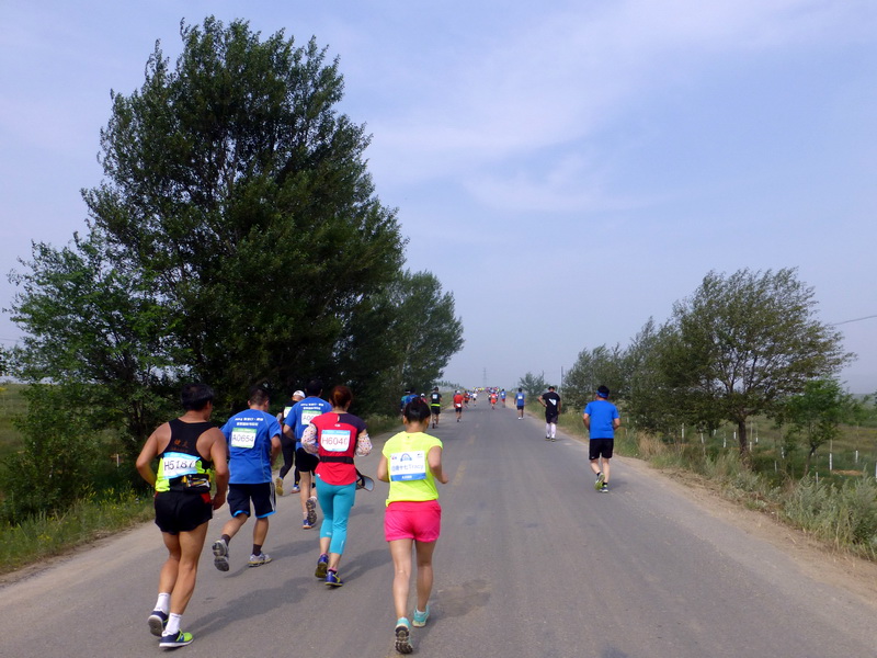 p1230451.jpg