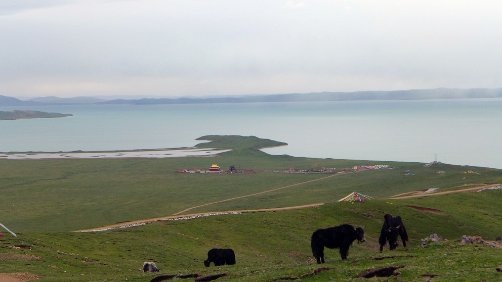 l1030104.jpg