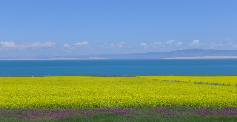 l1030446_.jpg