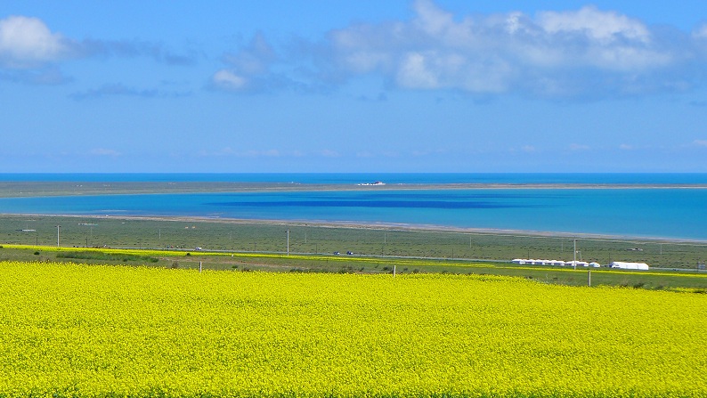 l1030427_.jpg