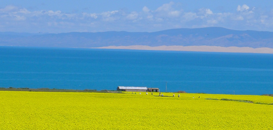l1030455_.jpg