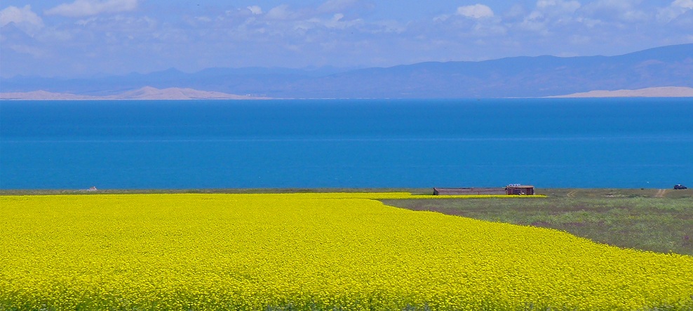 l1030449_.jpg