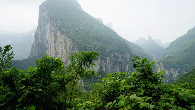 dsc04693_.jpg
