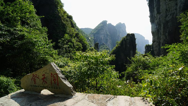 dsc03582_副本.jpg