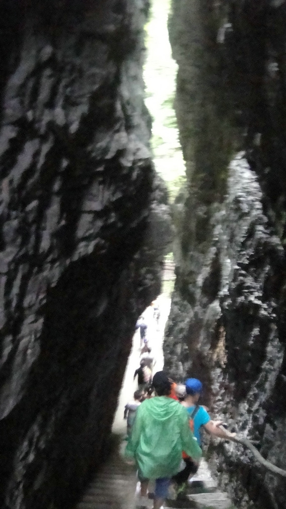 dsc01399.jpg