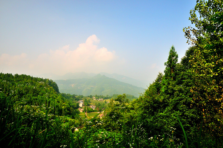 dsc_2965_.jpg