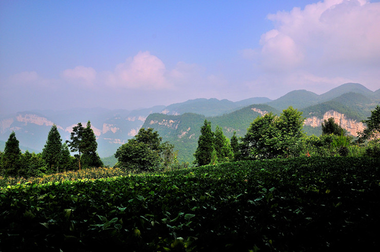 dsc_2970_01_.jpg