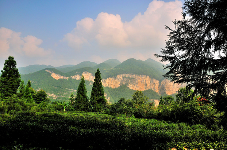 dsc_2991_副本.jpg