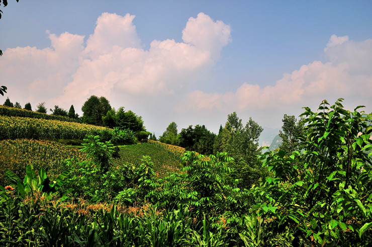 dsc_3057_副本.jpg