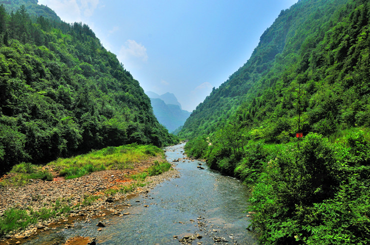 dsc_3078_副本.jpg