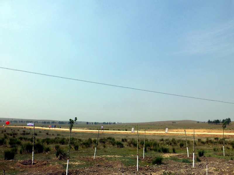 p1230524.jpg