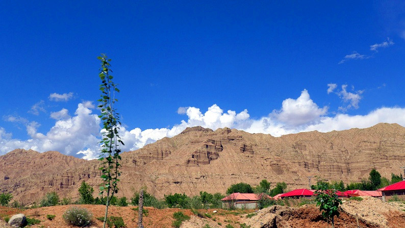 l1030487_.jpg