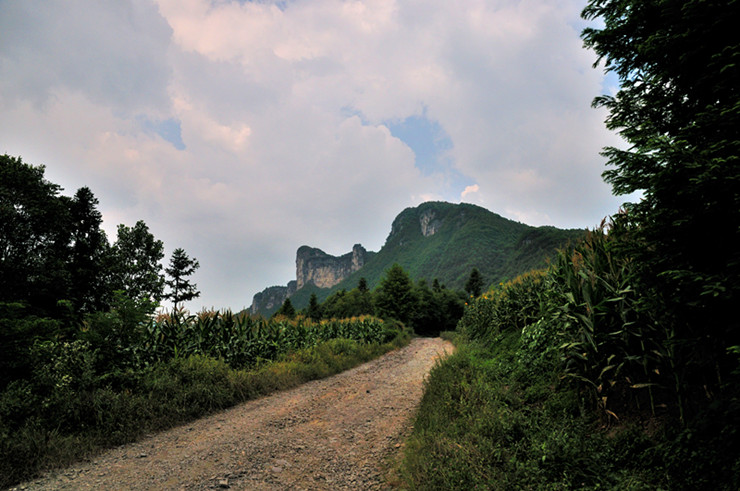 dsc_3133_.jpg
