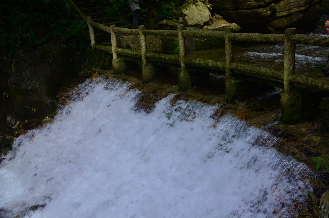 dsc_3870.jpg