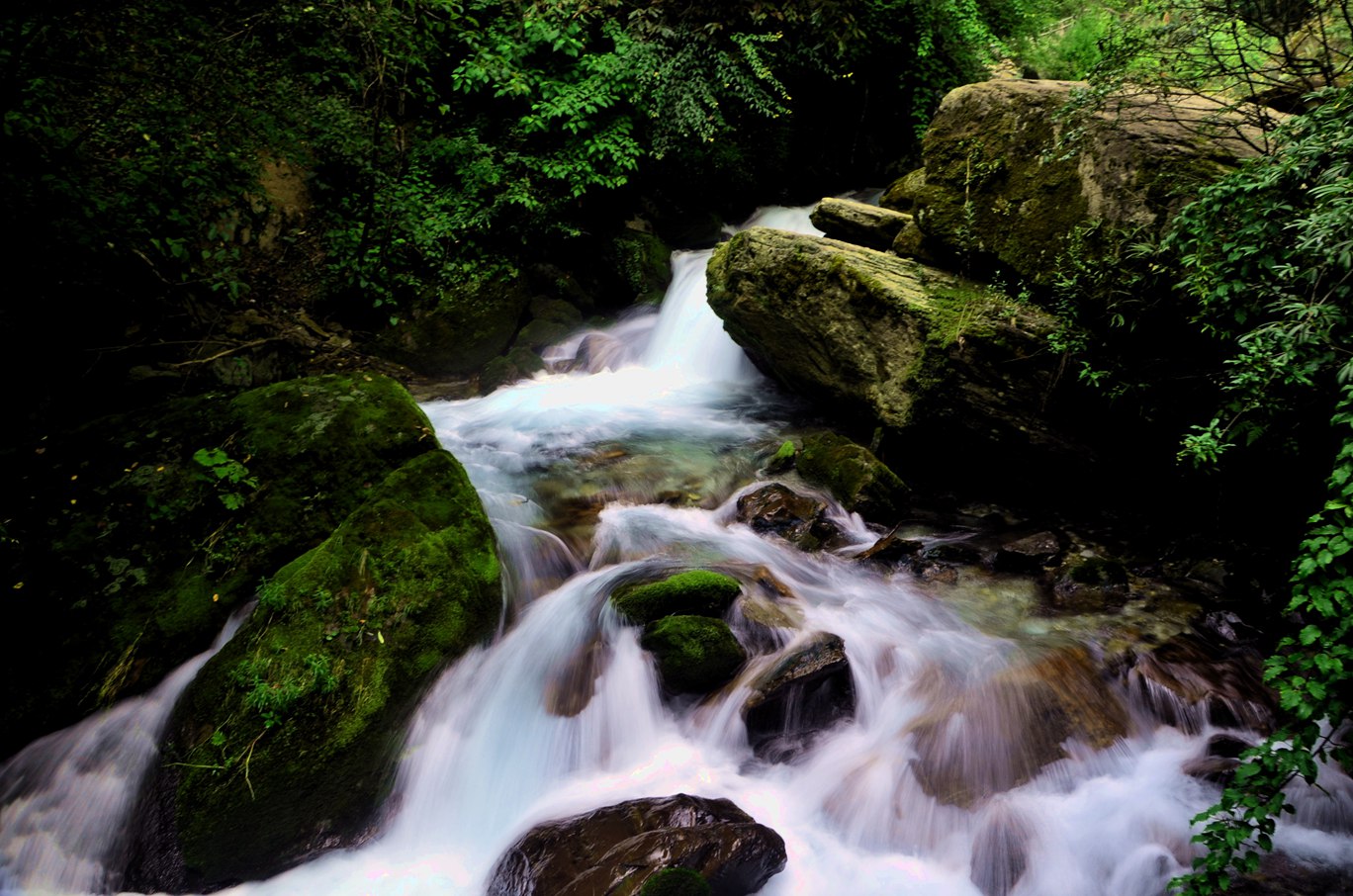 dsc_3894.jpg