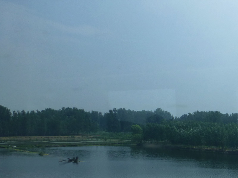 p1230587.jpg