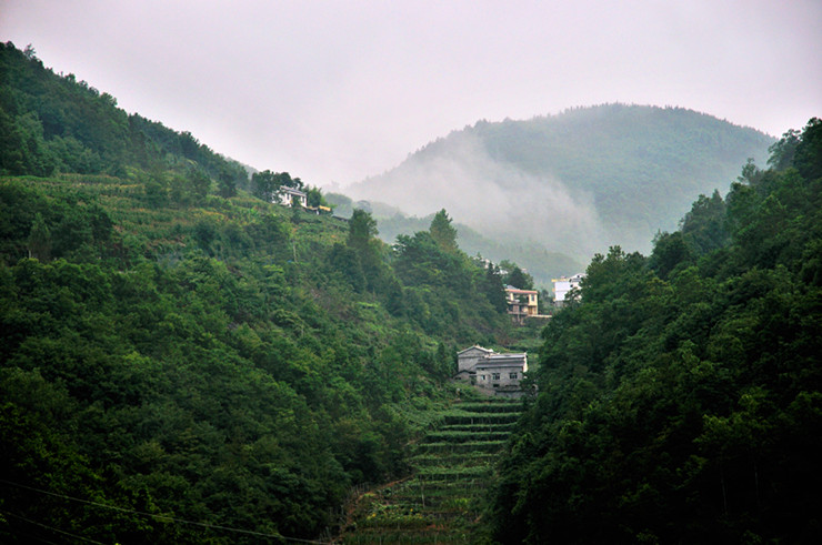 dsc_3323_副本.jpg