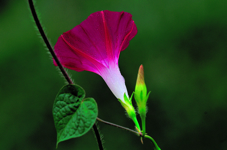 dsc_3372_副本.jpg