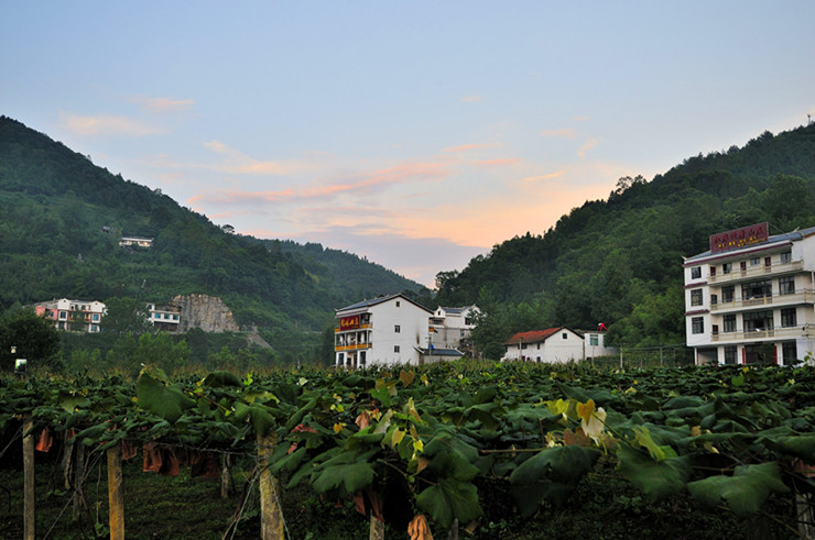_dsc1201_副本.jpg