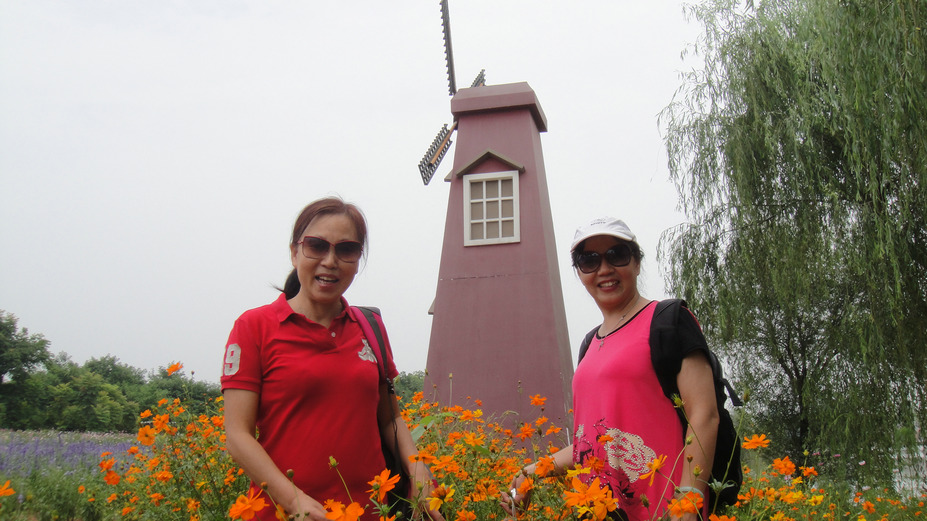 dsc08639.jpg