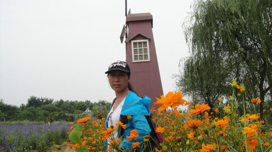dsc08640.jpg
