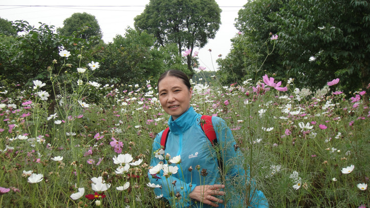 dsc08654.jpg