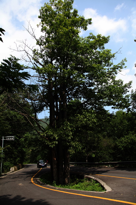 sb8.jpg