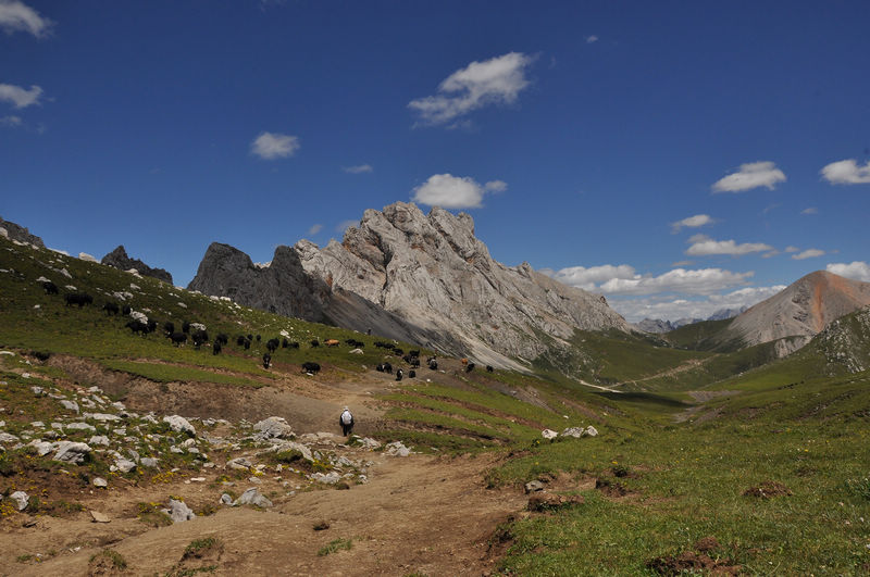 dsc_0230.jpg