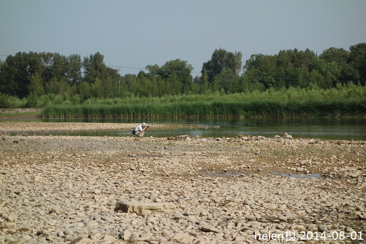 dsc05047.jpg