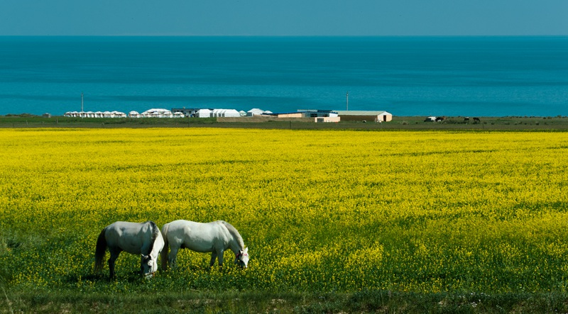 dsc_0168_.jpg