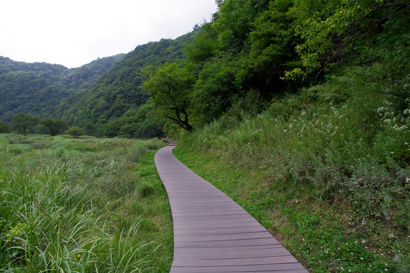 山西大同行imgp3218_副本.jpg