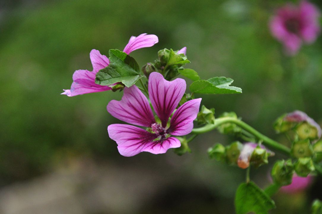 dsc_0144.jpg