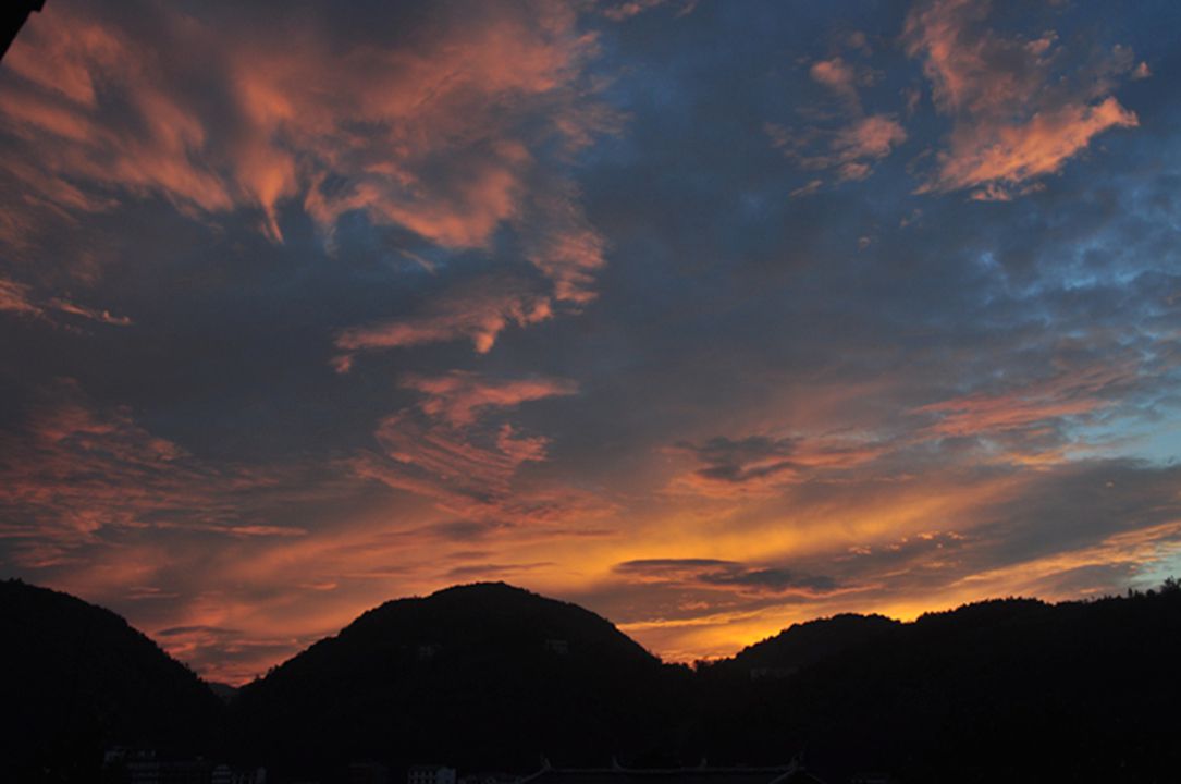 dsc_0520.jpg