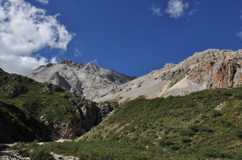 dsc_0294.jpg