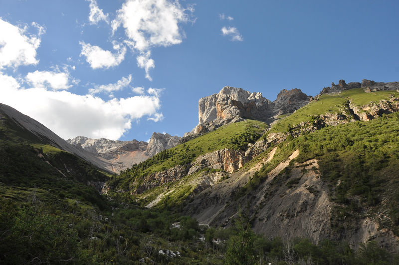 dsc_0297.jpg