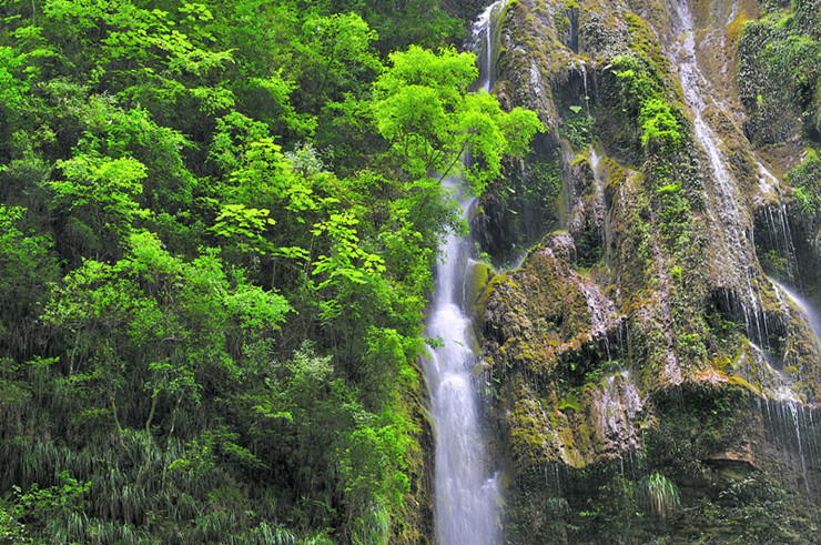 _dsc0178_副本.jpg