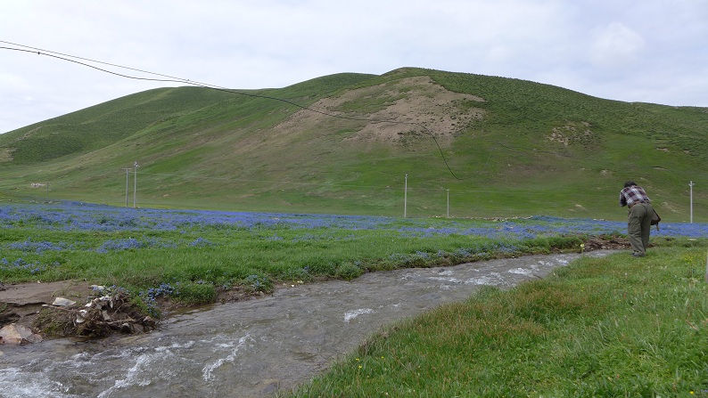 l1030016.jpg
